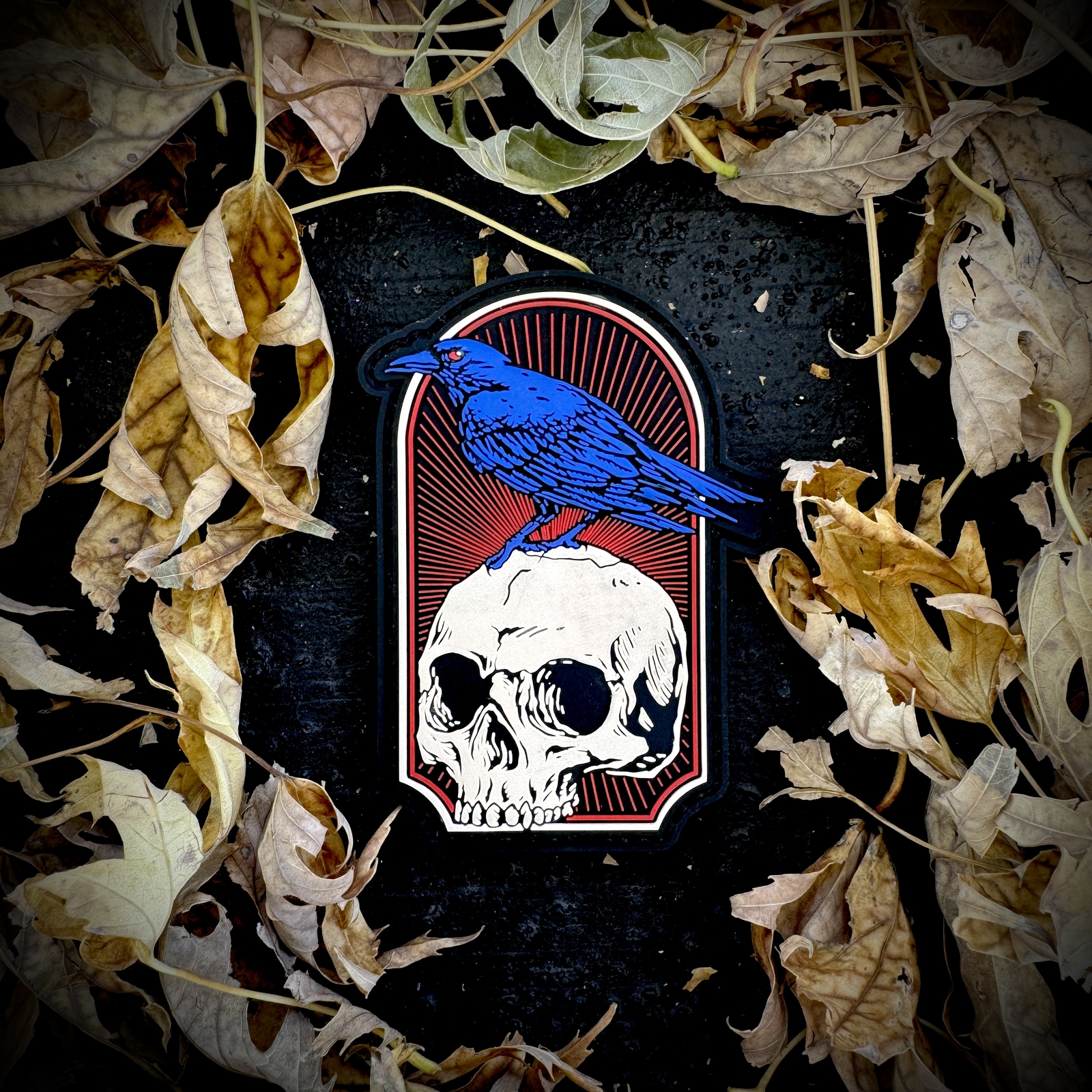 Patriot Patch Co. - Raven Skull - Patch