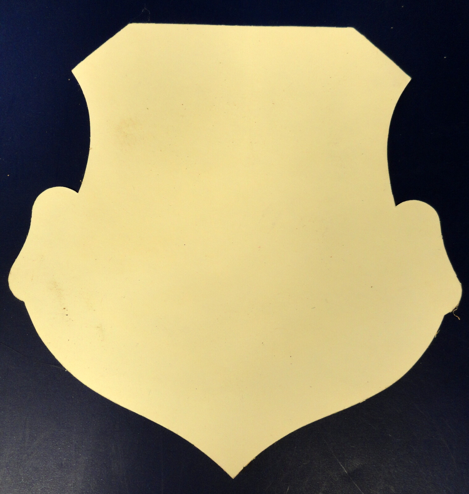 USAF FIGHTER WEAPONS CENTER LARGE DECAL
