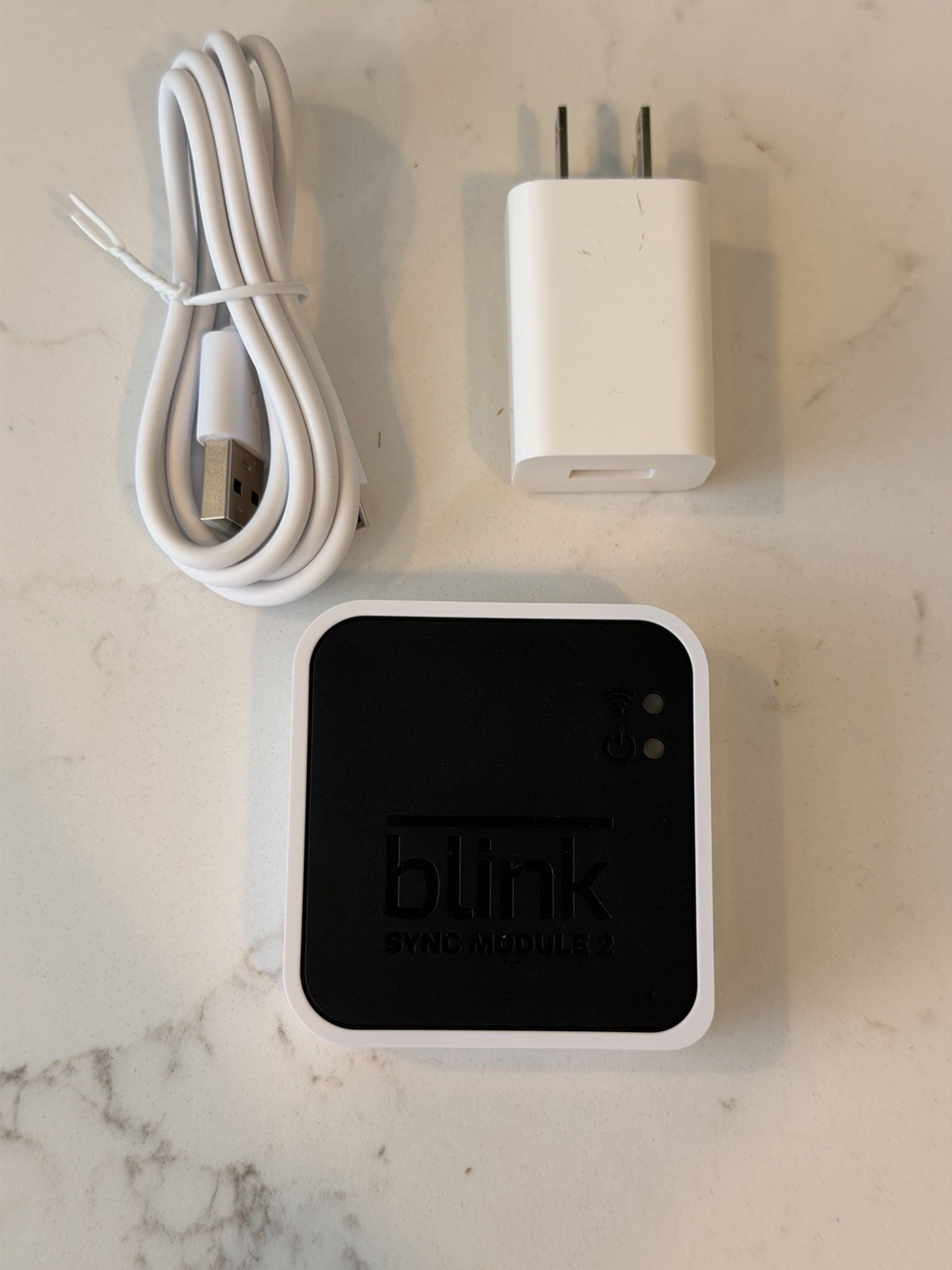 Blink Sync Module 2