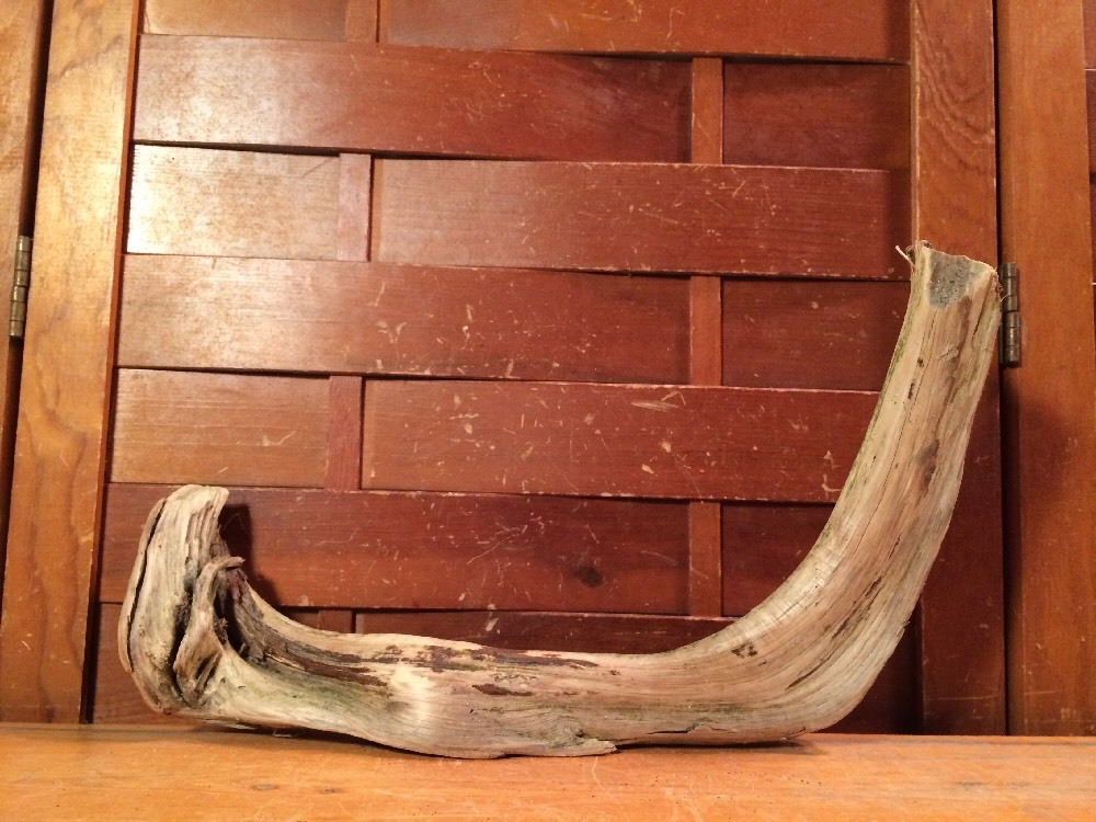 Beautiful 13" DRIFTWOOD Piece Art Terrarium Taxidermy Aquarium Beach Wood DECOR