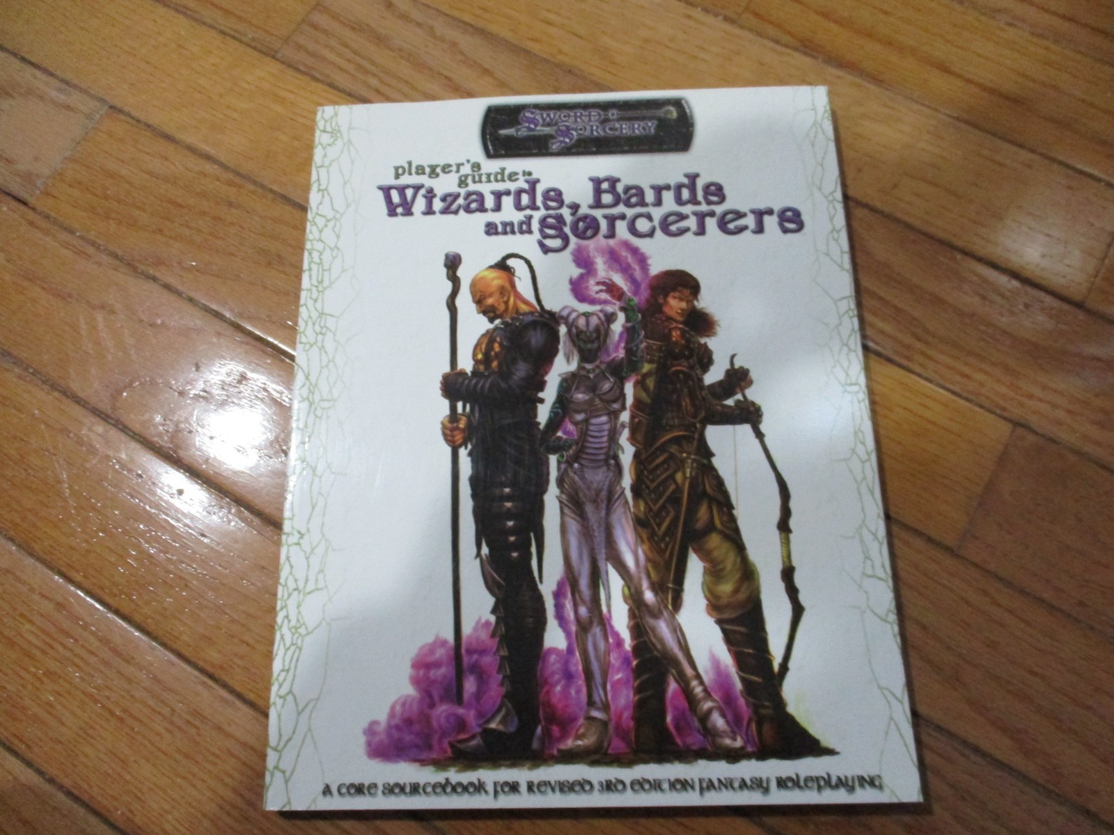 D&D D20 Sword & Sorcery RPG Player's Guide to Wizards Bards and Sorcerers