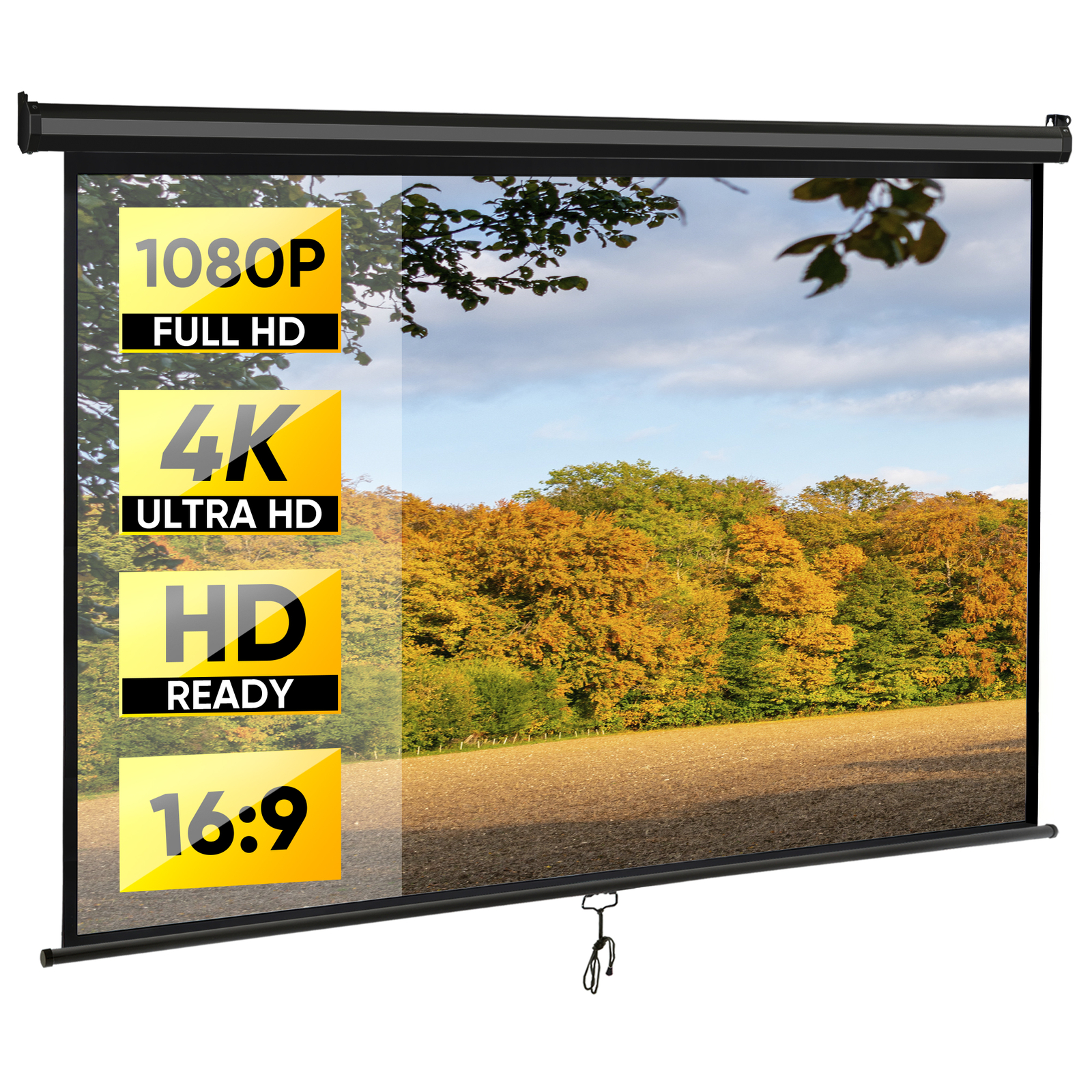 Outdoor Projector Screen Pull Down 80" 16:9 HD Ceiling Projection Screen Black