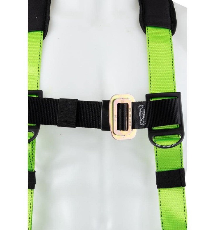 Werner (Universal Sized) Harness Tree/Climbing/Roofing Safety Harness System