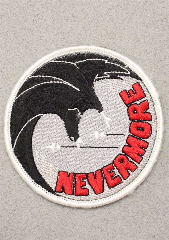 50th Flying Training Squadron "Nevermore" w/h&l - USAF Air Force Patch 1935