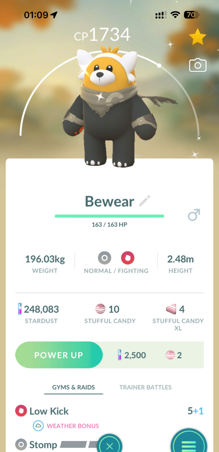 Shiny Wilderness Cape Bewear PTCs Read Description