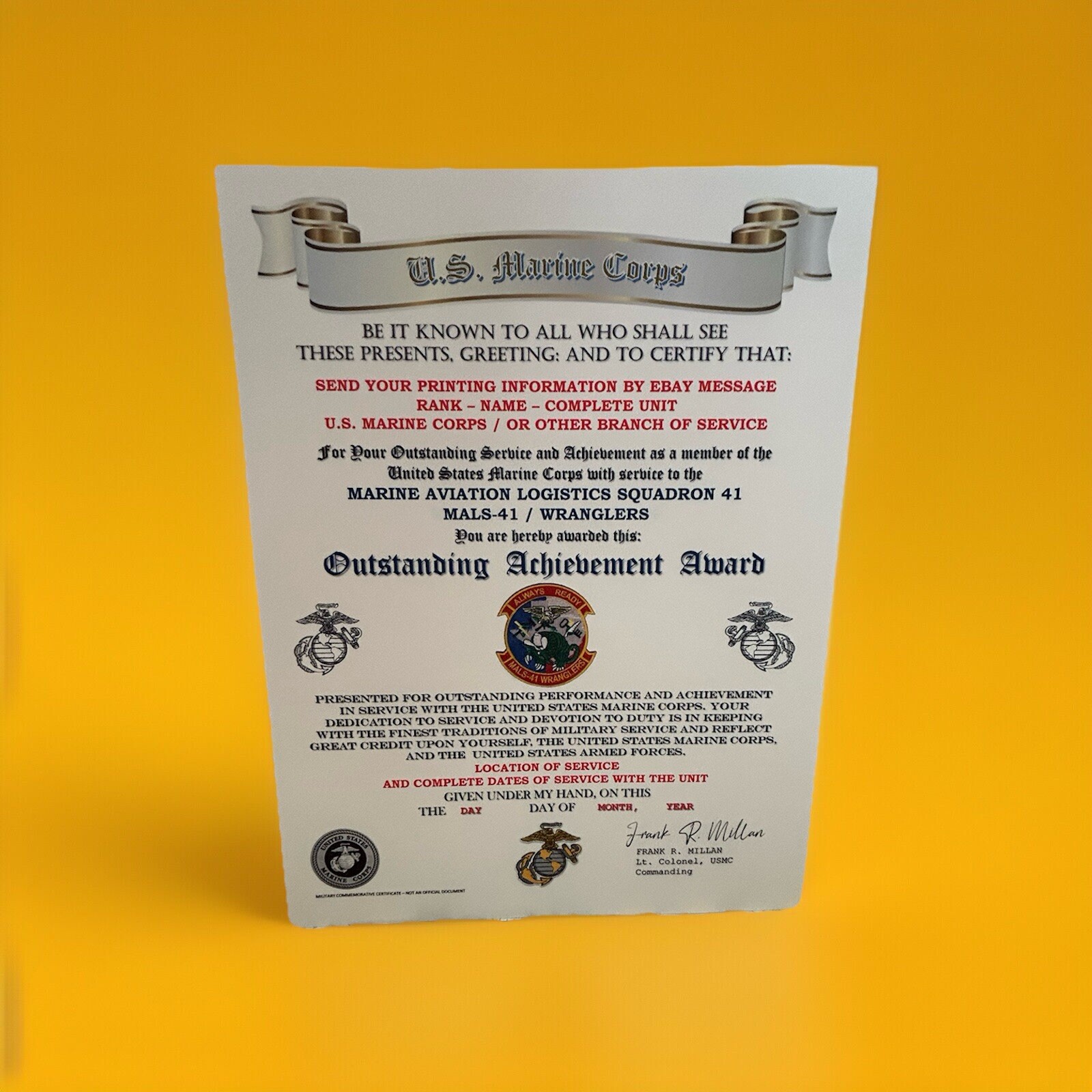 U.S.M.C. / MARINE WRANGLERS - MALS-41 / OUTSTANDING ACHIEVEMENT AWARD