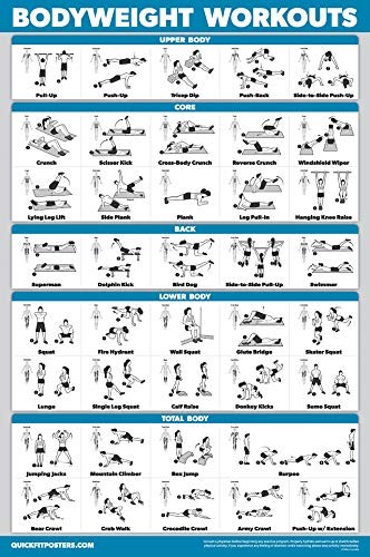 Palace Learning 4 Pack - Dumbbell Workouts + Bodyweight 18” x 24”, LAMINATED