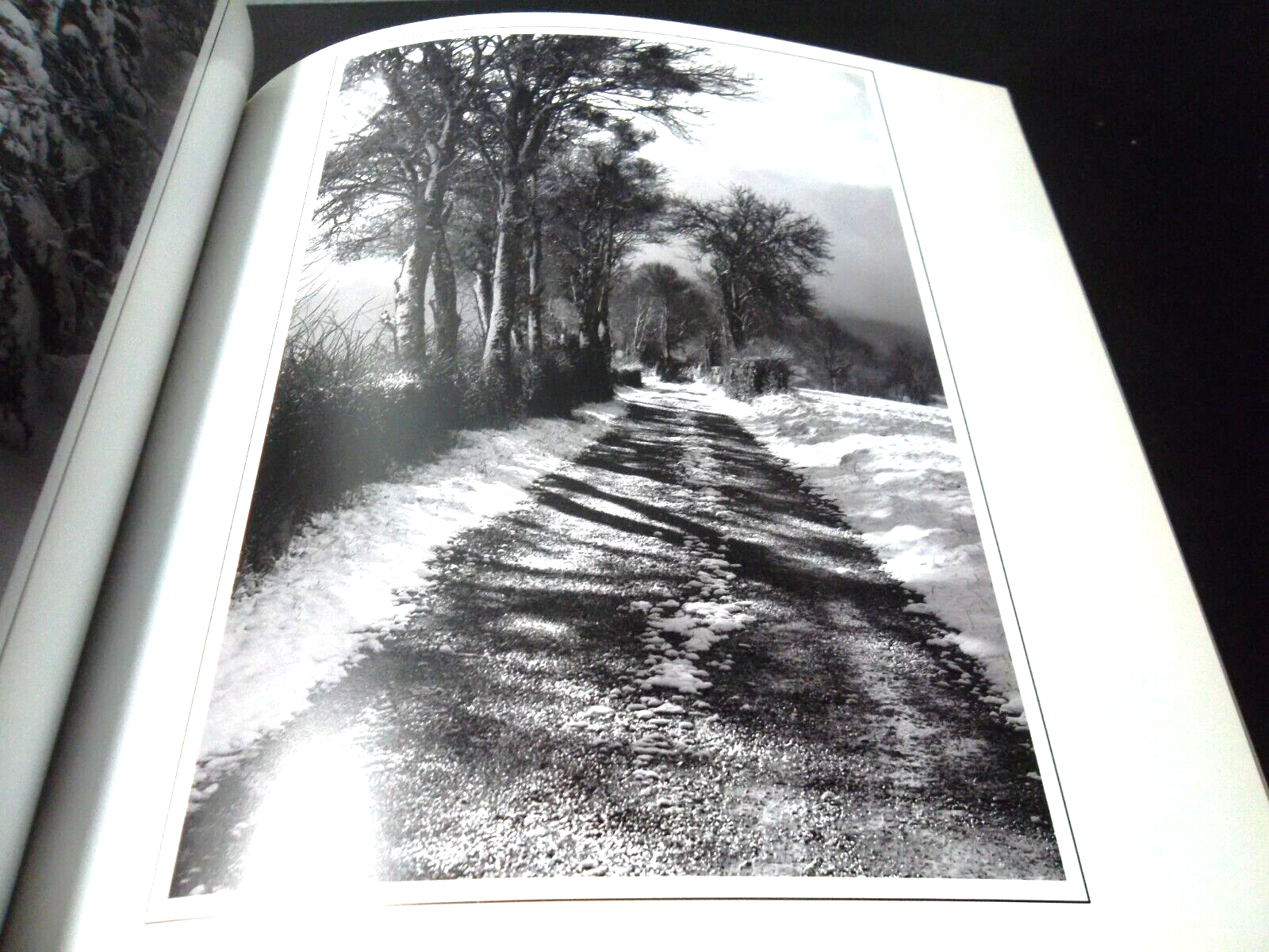 Expo; Ferme Bachelard 2016