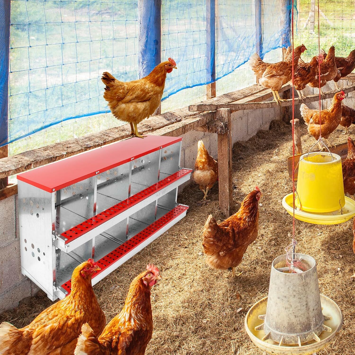 8 Hole Chicken Nesting Box Hen Laying Boxes Roll Away Nesting Box for Laying Egg
