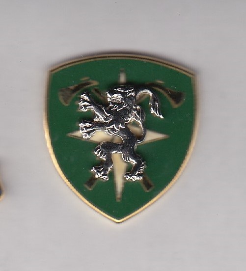US Army Multinational Land Forces NATO crest DUI badge M-29