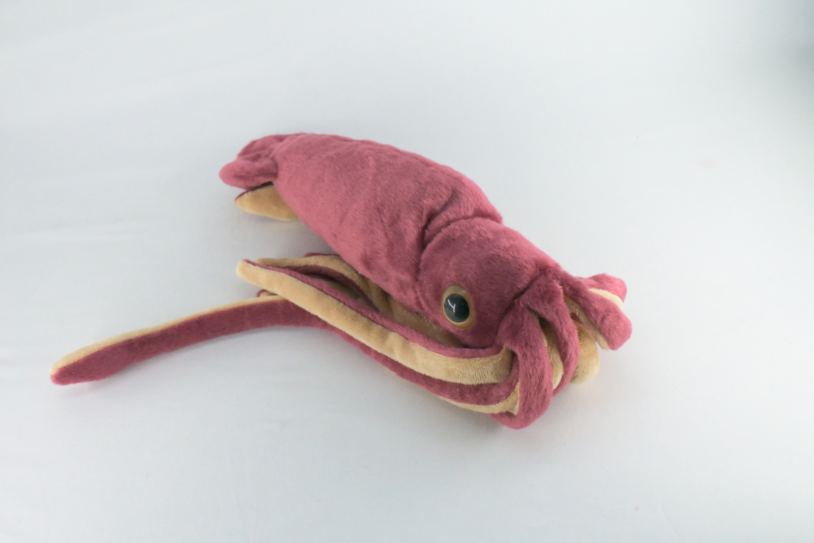 Toy Giant Squid, Plush, Stuffed Squid, Toy, Soft 30 inches long F1704 B25