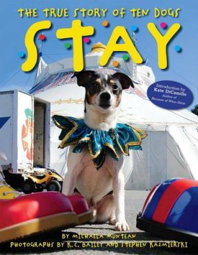 Stay: The True Story of Ten Dogs - Hardcover By Michaela Muntean - GOOD