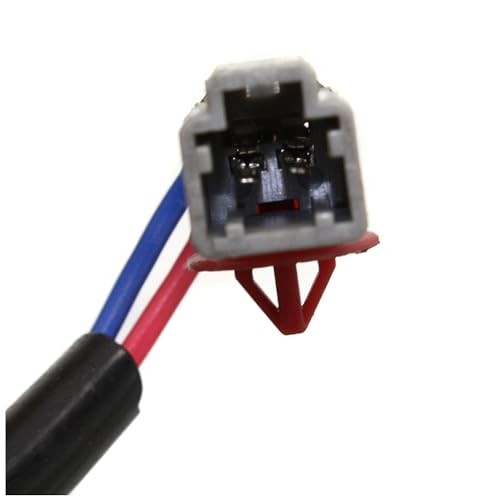 Window Regulator Compatible with Acura RL 1998-2004 with Motor Rear,