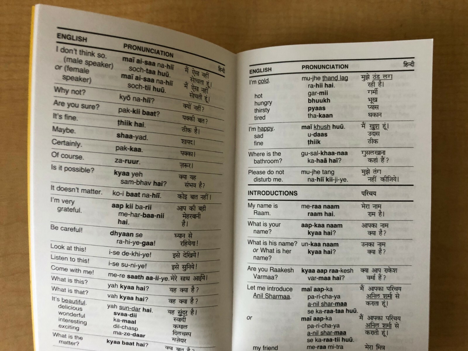 Hindi Phrase Book / Dictionary - Pocket Size - by Language/30