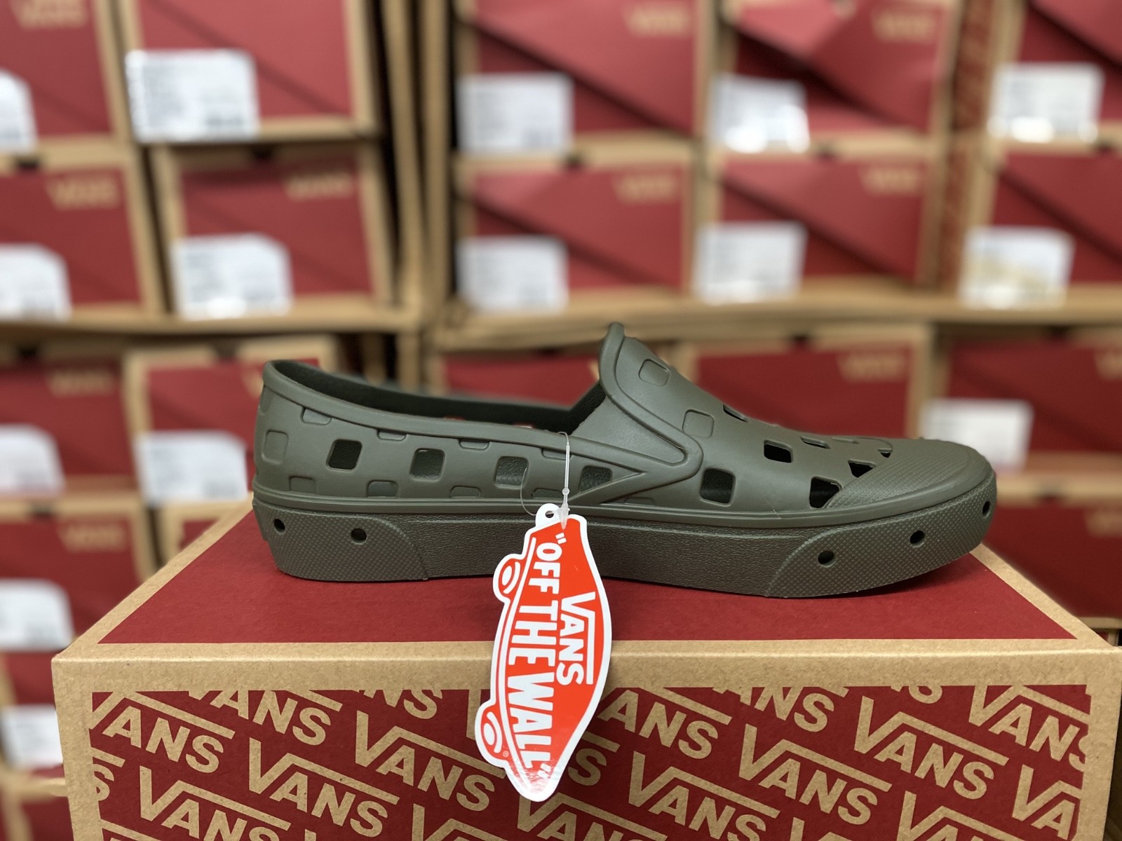 Vans unisex Trek Slip On - grape leaf -US (MEN 12) VN0A5HF8BLK