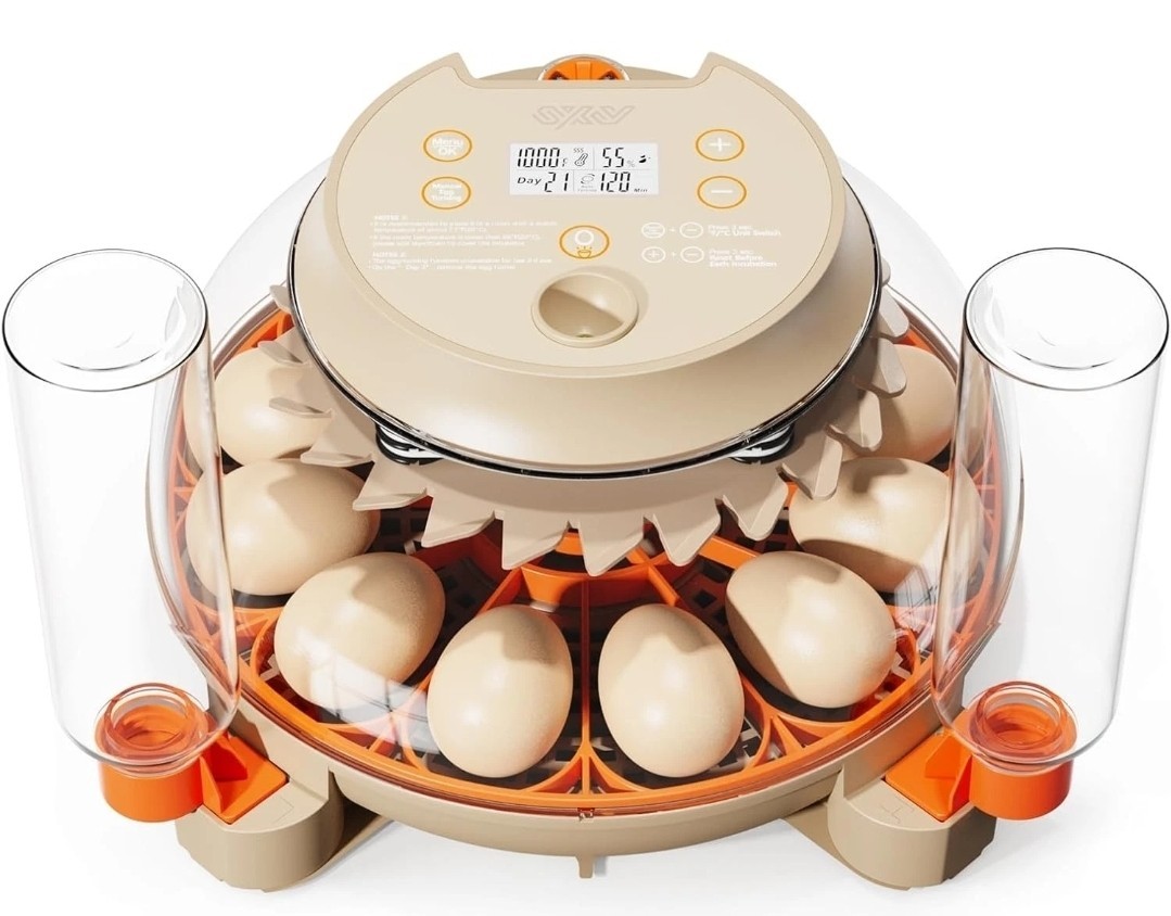 Innsky Incubator for Hatching Eggs,12 Egg Incubator with Automatic Egg...