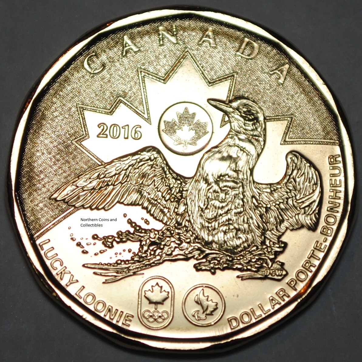 Canada 2016 BU Olympic 1 Dollar Canadian Lucky Loonie from mint roll