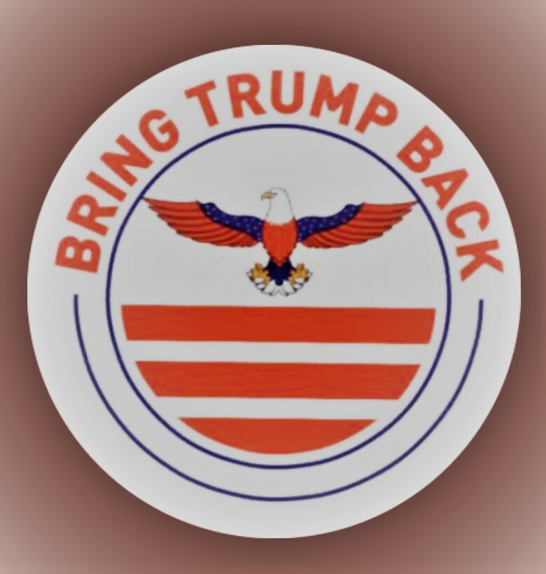 Donald Trump 2024 Sticker "Bring Trump Back" Logo
