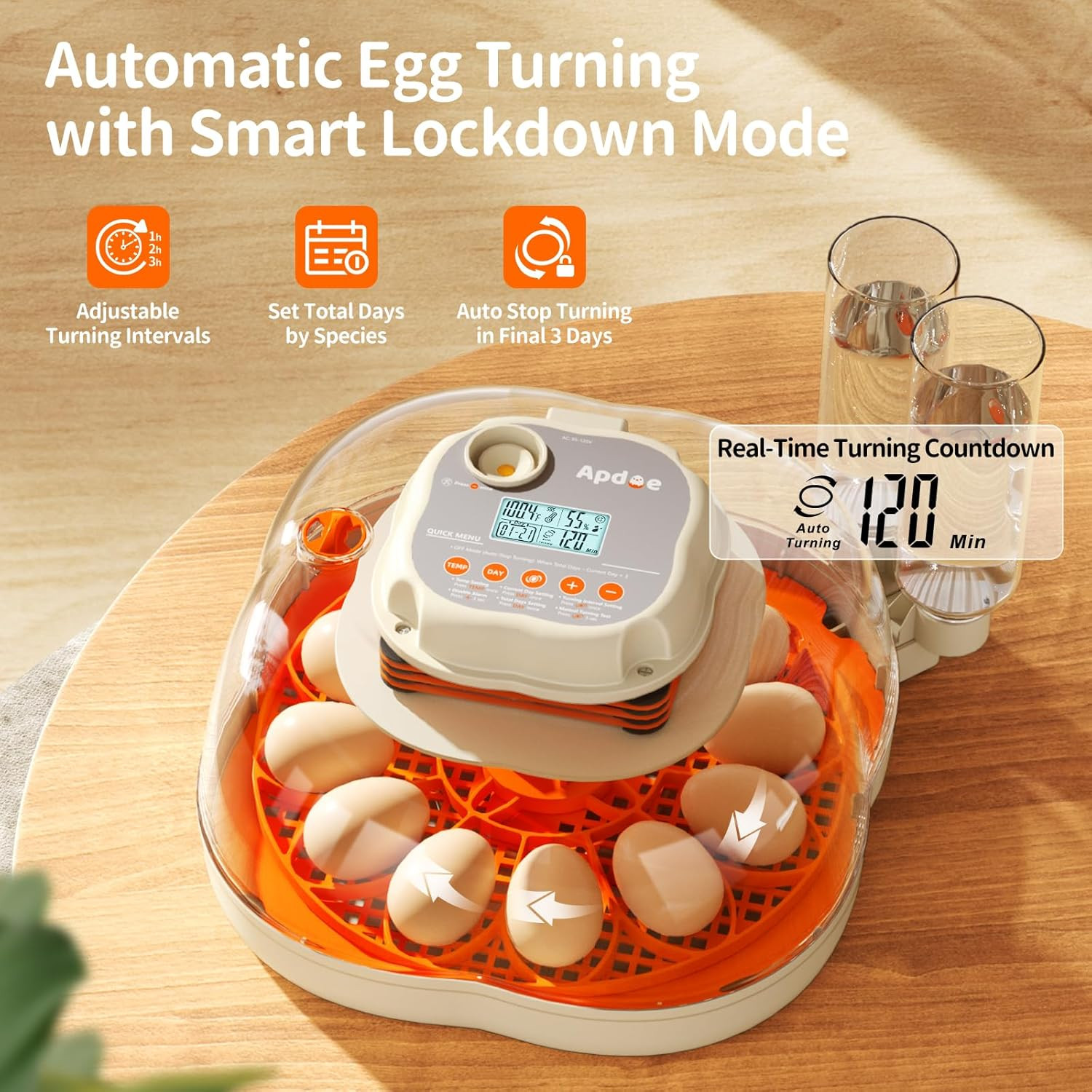 Egg Incubators for Hatching Eggs, Temperature and Humidity Control, Automatic Eg