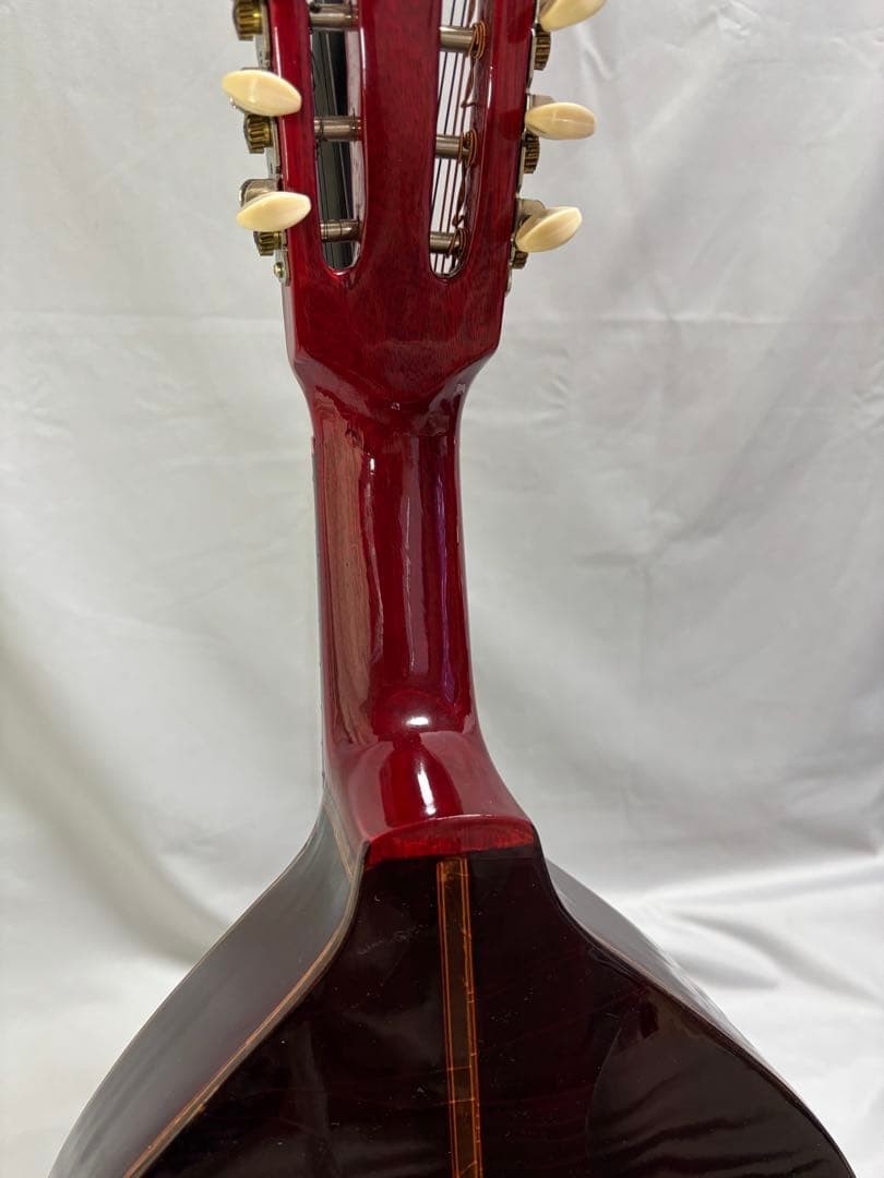 Oscar Schmidt Stella 12-string (1920s)