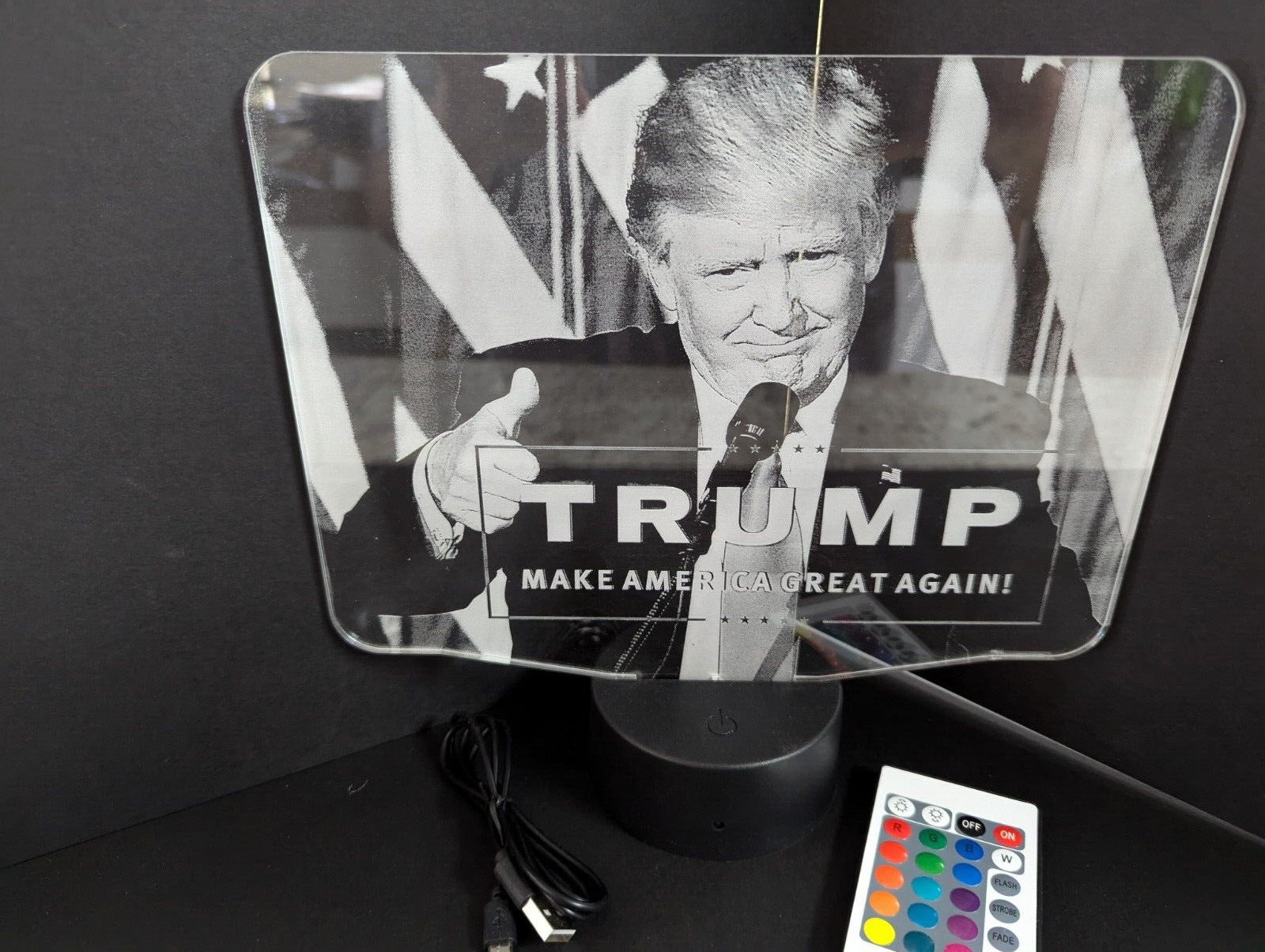 Donald Trump 2024 President  L.E.D. Large light display