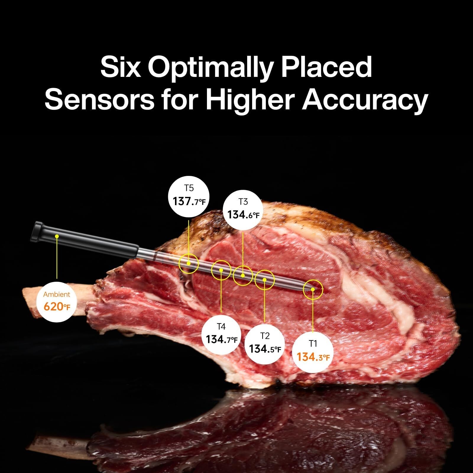 Typhur Sync Gold Lite Smart Wireless Thermometer Model WT10 in Black