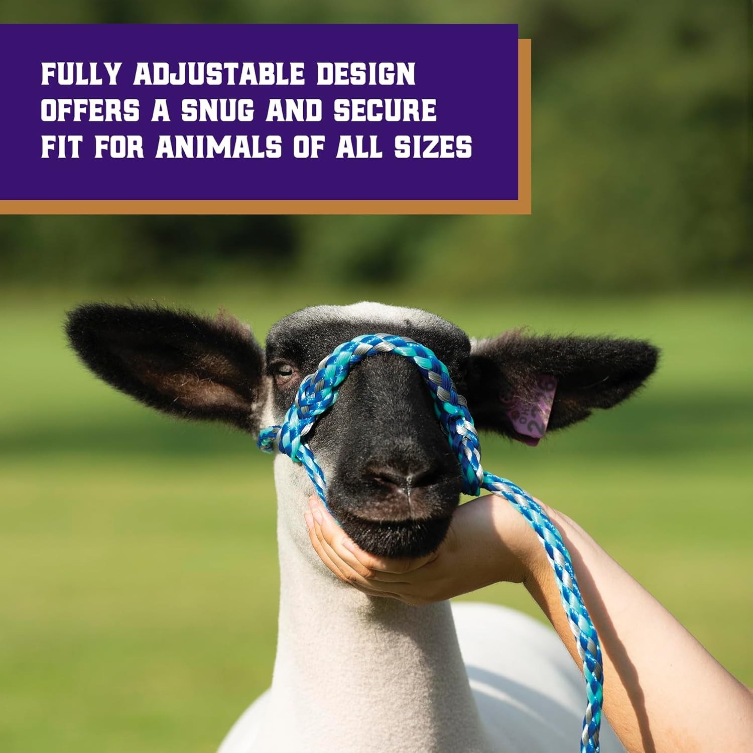Weaver Soft Braid Rope Halter 4ft Modern Livestock Sheep