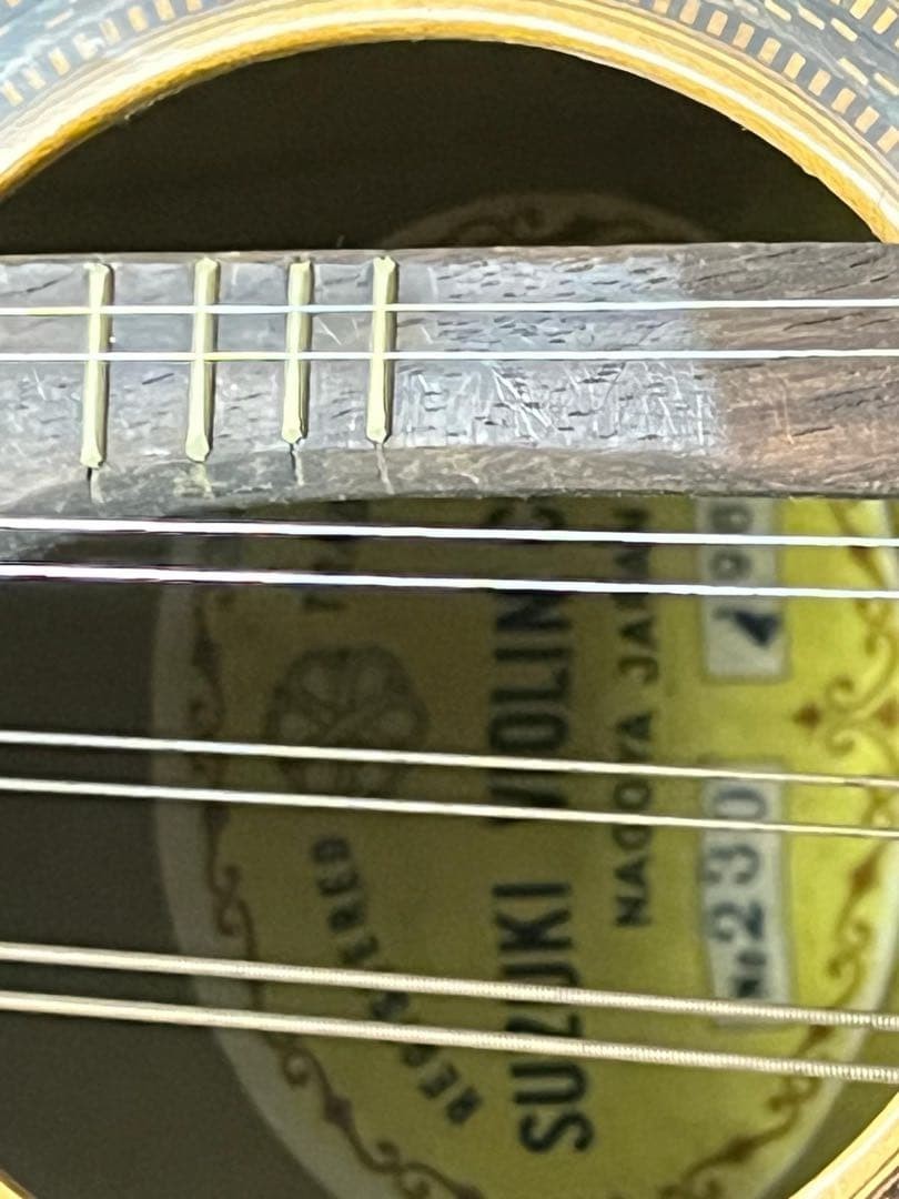 mandolin