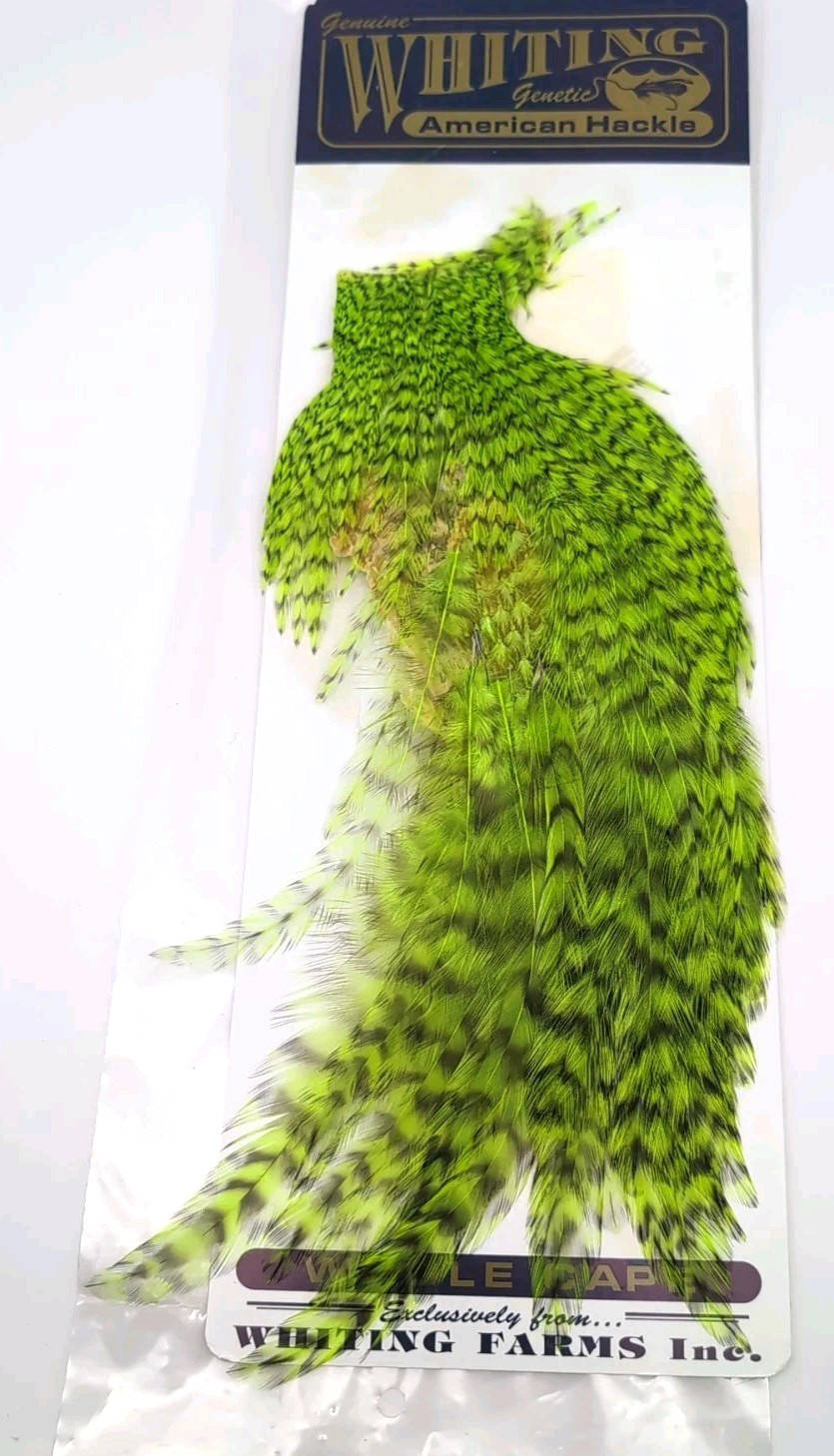 Whiting American Rooster Cape Grizzly Dyed Fluorescent Green *PARTIAL* WH4