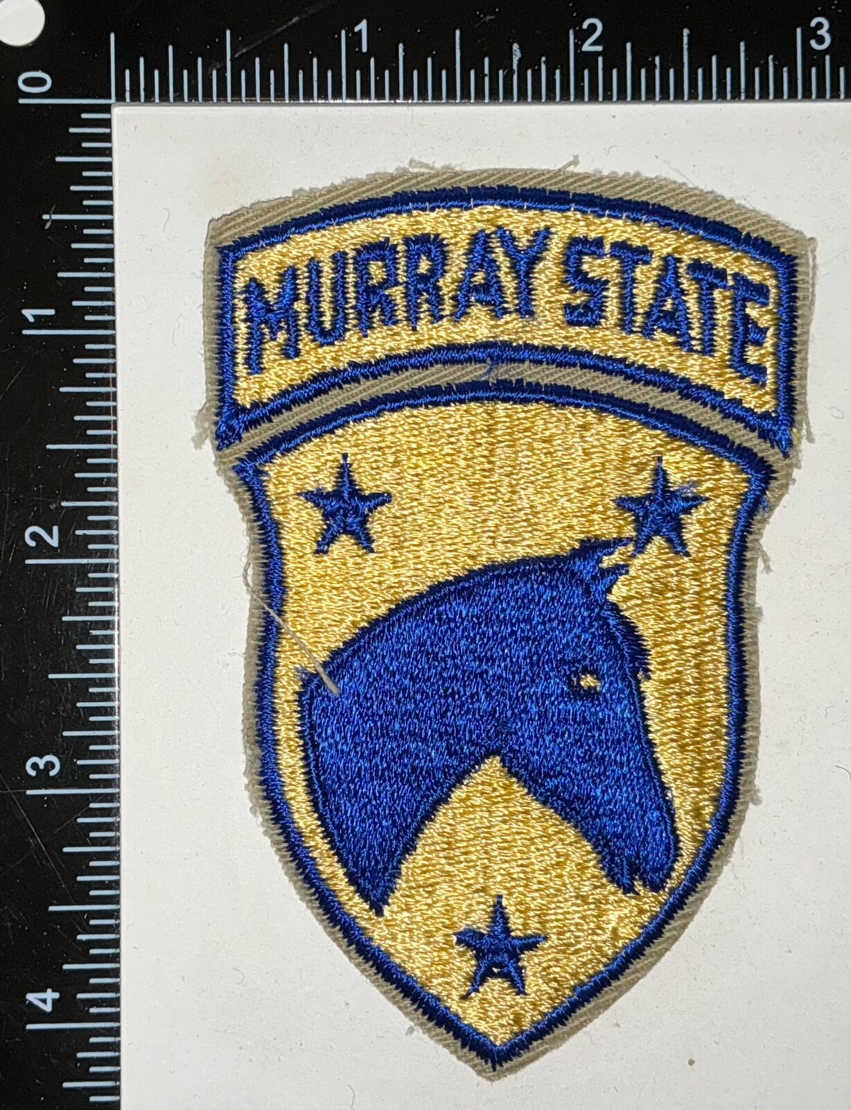 Murray State University Army Reserve Officer Training Corps ROTC Patch
