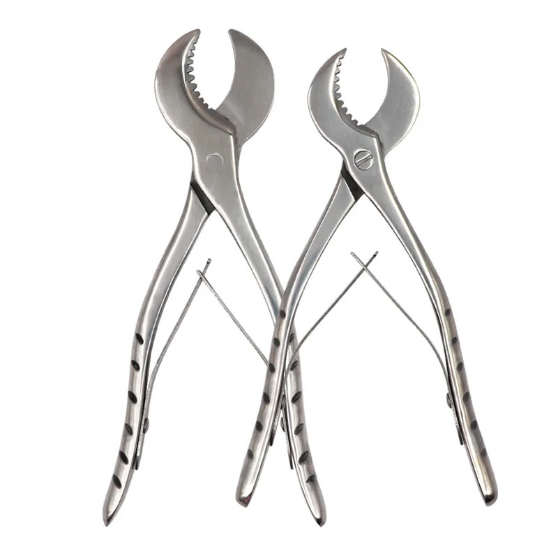 AZDENT Dentist Lab Plaster Shears Stainless Forceps Gypsum Plaster Cutter