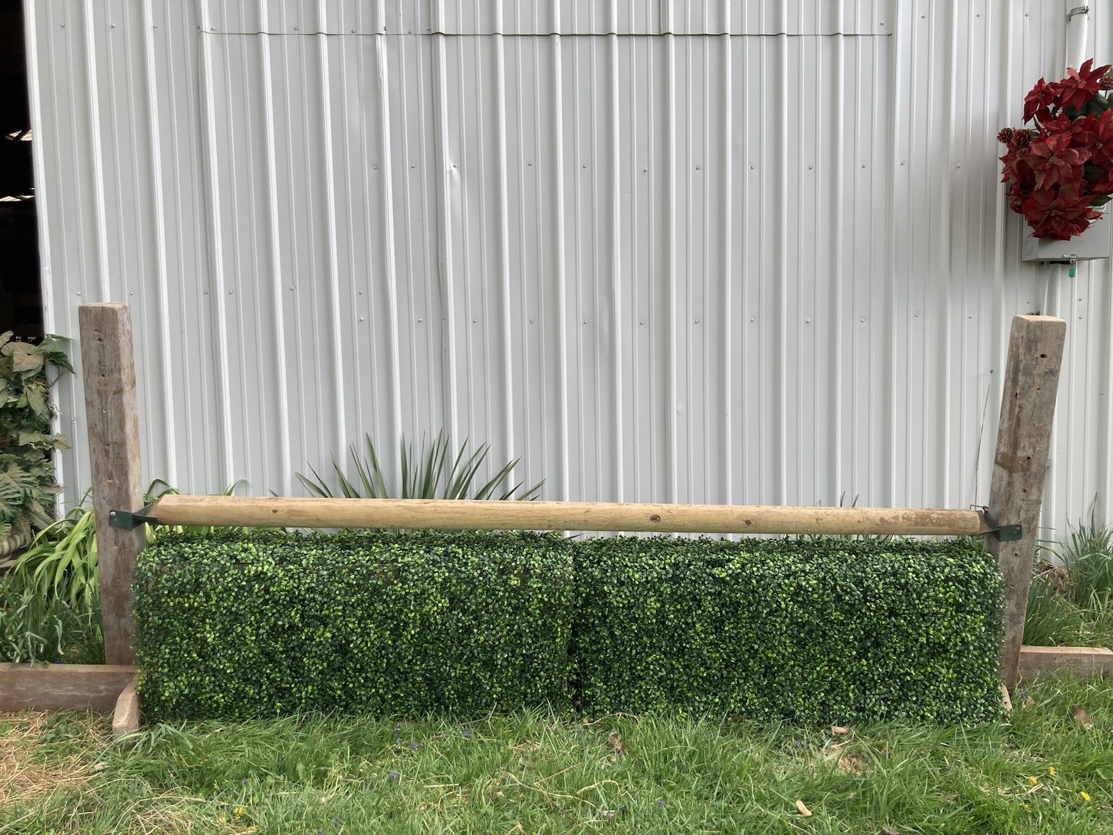 Pair Boxwood Hedge Horse Jump Fillers