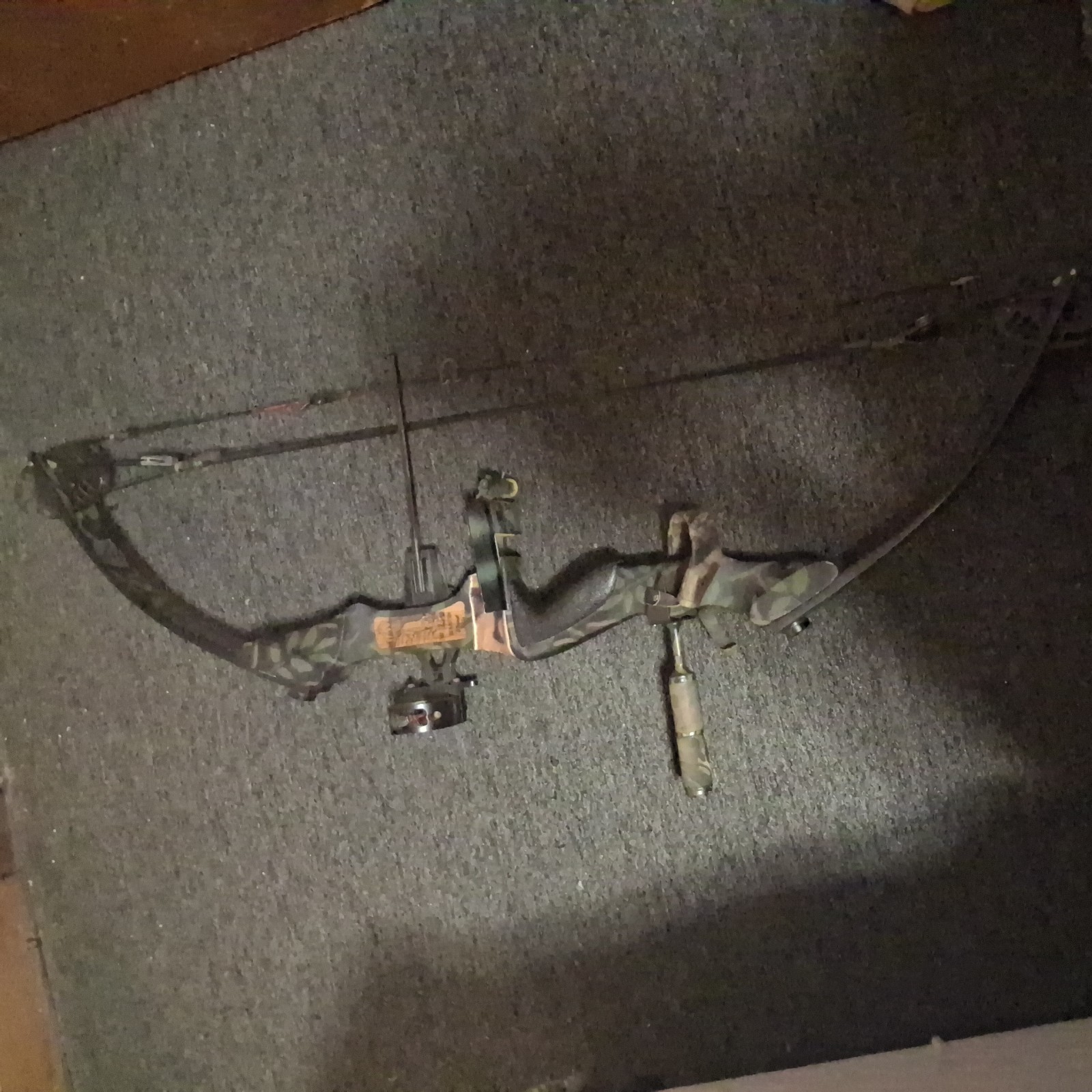 Martin Cougar Speed Flite Compound Bow W/  dead nuts sight