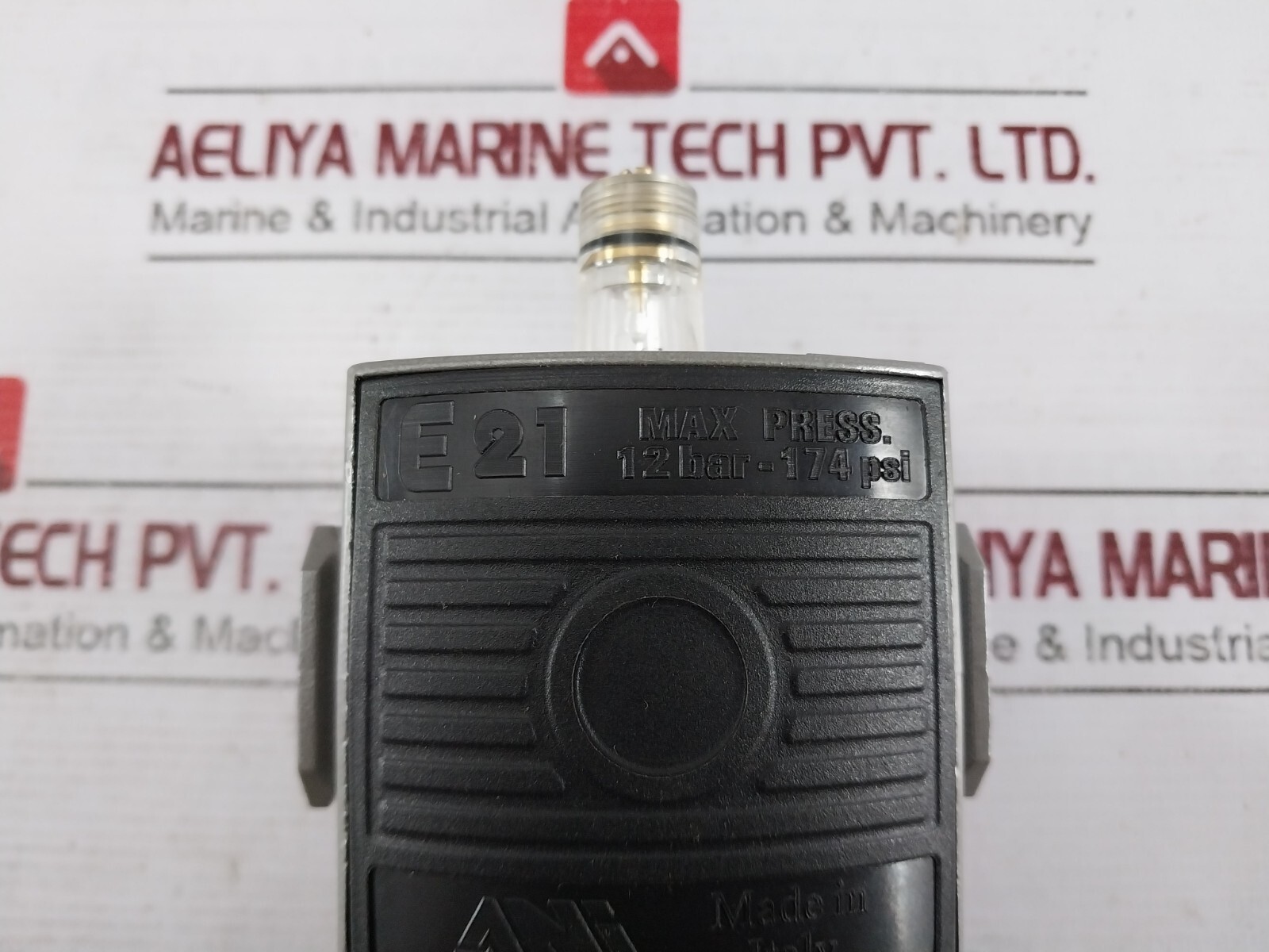 ANI E21 Modular Lubricator 12 BAR-174 PSI
