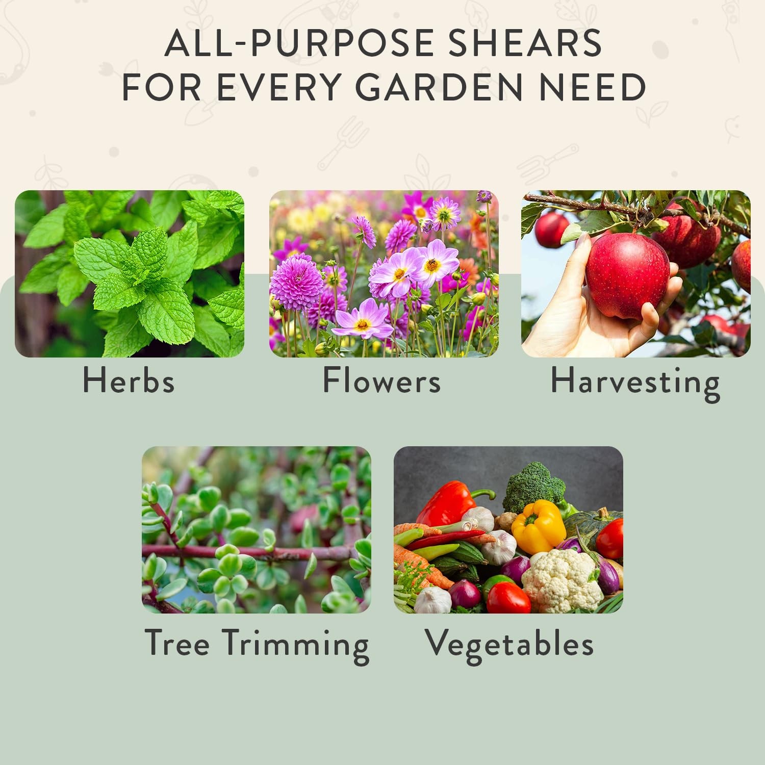 Modern Sprout Pruning Shears - Herb Snipping Scissors- Shears, Sage