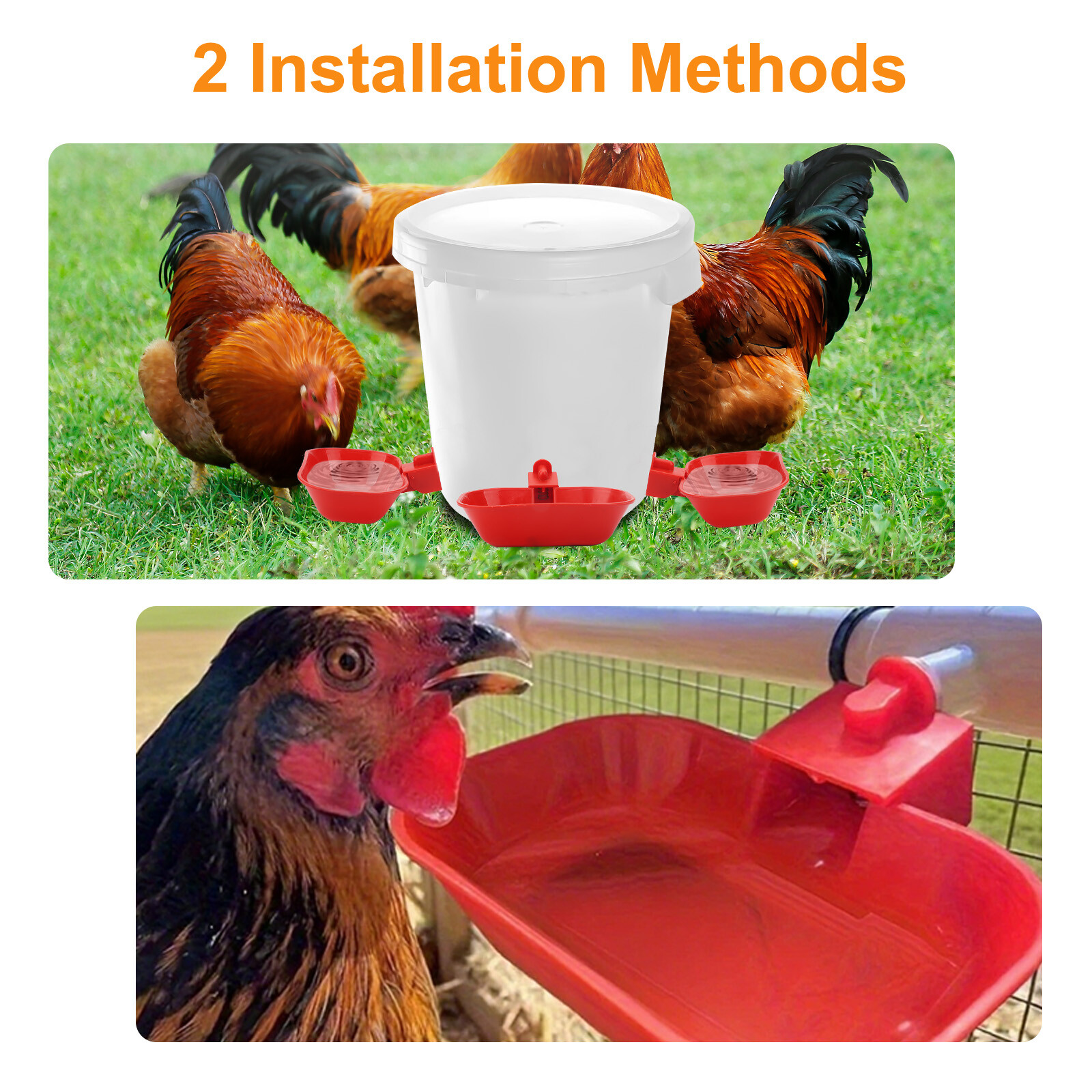 6PCS Large Automatic Water Cups Chicken Duck Quail Drinker Waterer w/ Drill Bit