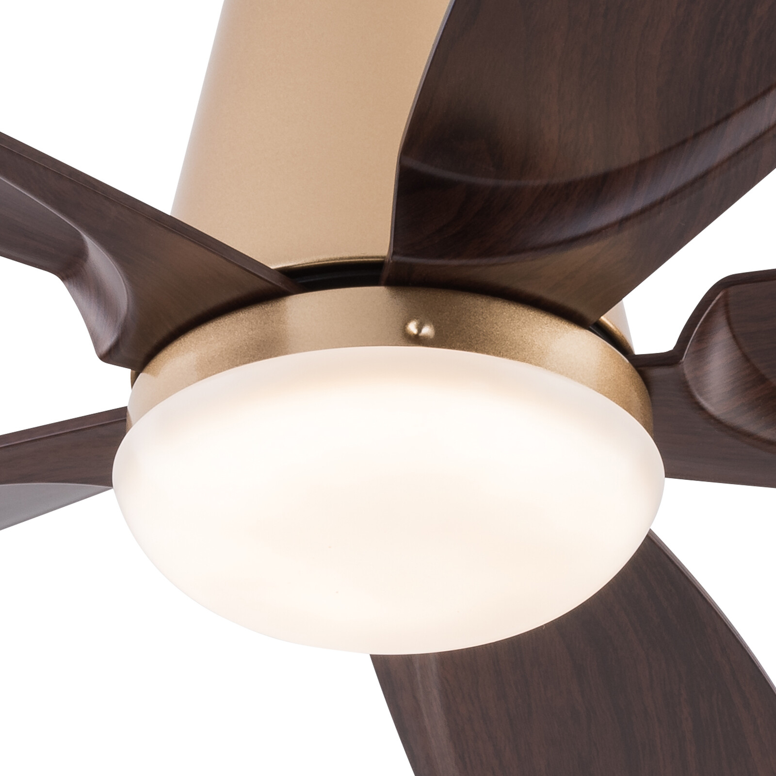 52" Fan Chandelier Ceiling Fan with Lights & Remote Control Ceiling Fan Light��