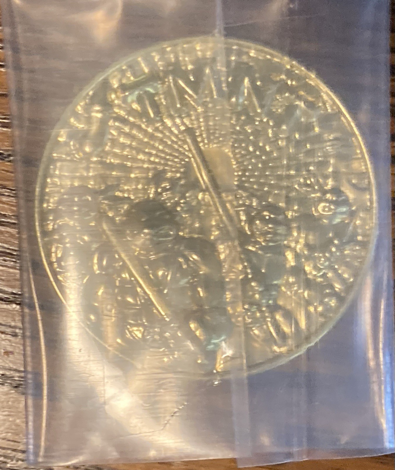 TNMT Deep Sea Diver Leo Artic Don Safari Mike Plastic Gold Collector Coin Sealed