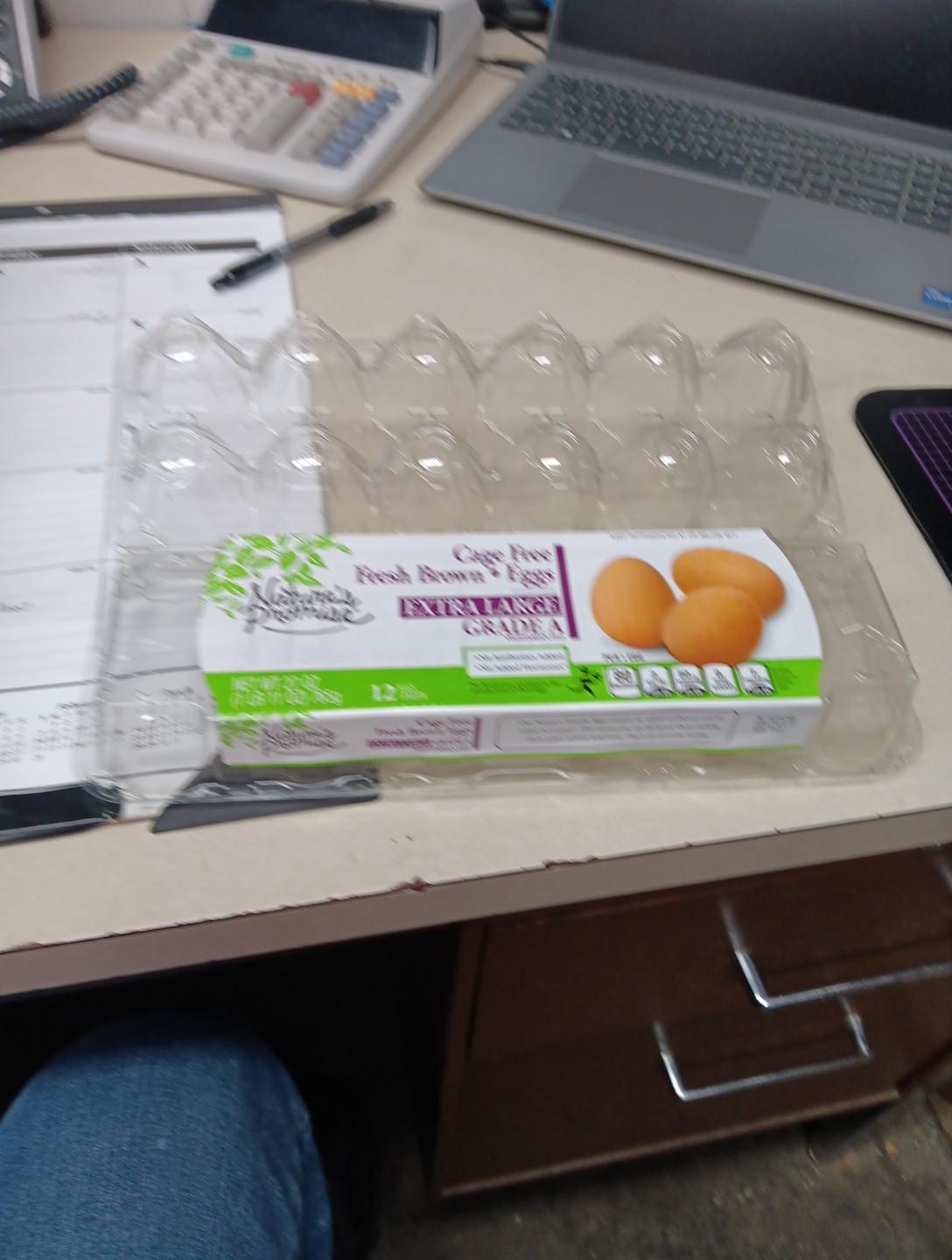 Plastic Egg Cartons, Ex. Large 50 Pack