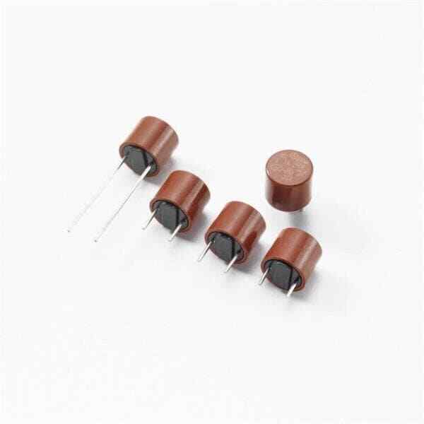 10Pcs 37212000001  Fuses with Leads - Through Hole IEC TL LBC LL 2A TR5