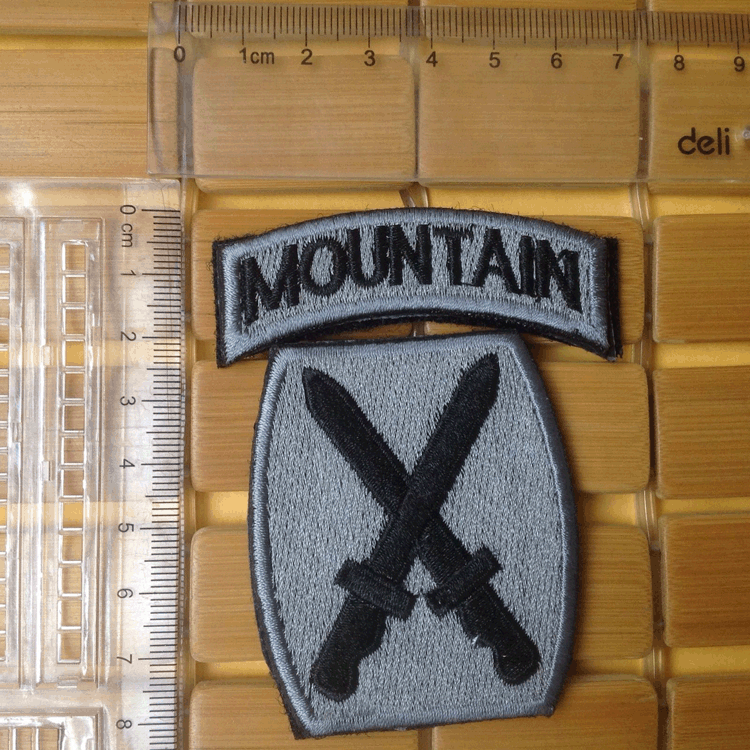 USA 10TH MOUNTAIN DIVISION ARMY Embroidered Hook BADGE PATCH