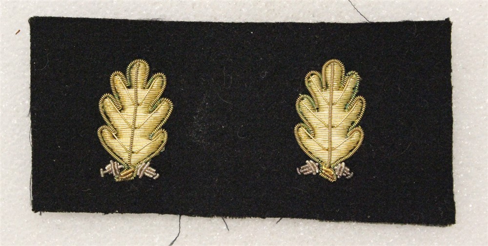 USN Navy Sleeve Insignia 1123: Dental Corps Officer - pair