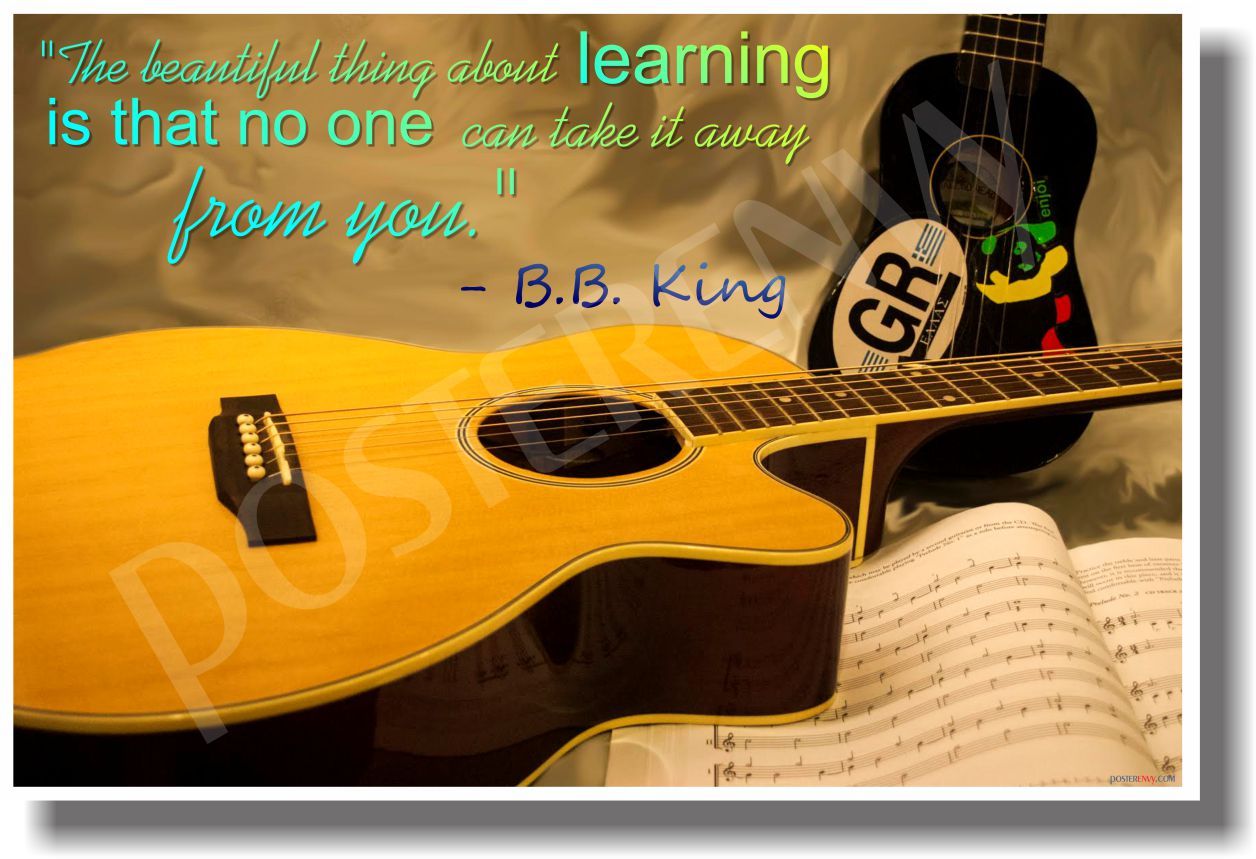 The Beautiful Thing About Learning - NEW Classroom Motivational Poster (cm946)