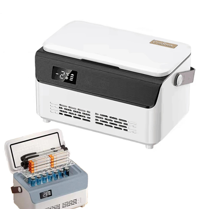 Mini Car Fridge Medical Cooler Box Diabetic Insulin Storage With 2 Battery