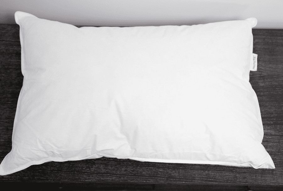 Pillowtex White Duck Down Pillow - Customer Return Clearance