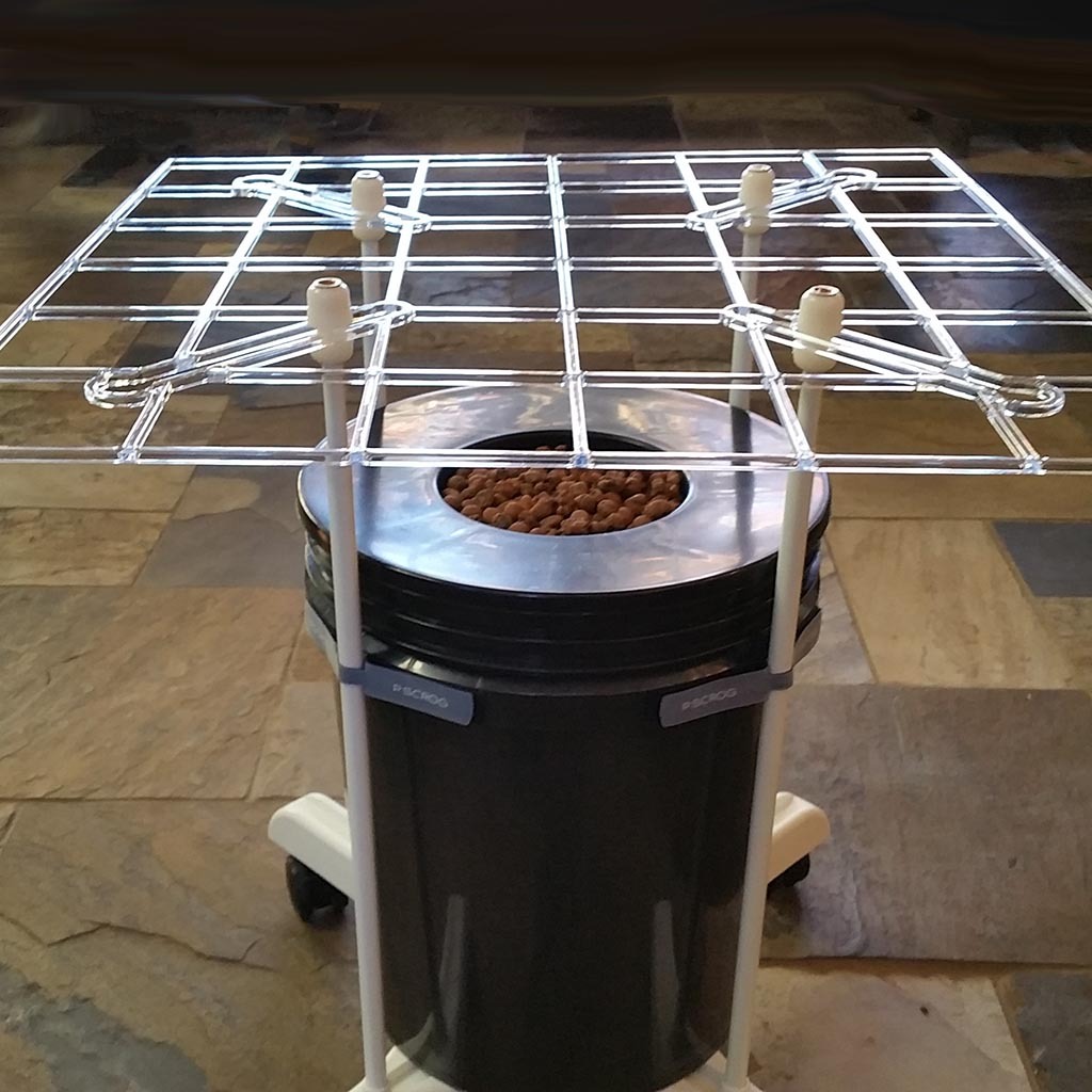 ScrOG Kit - "P SCROG Single Screen" shown with DWC bucket