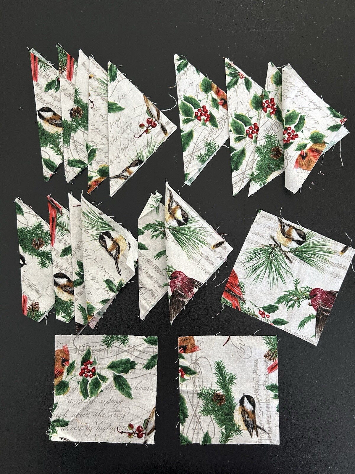 Christmas Birds Fabric Squares Holidays White Multicolor 17 Pc 4.5"