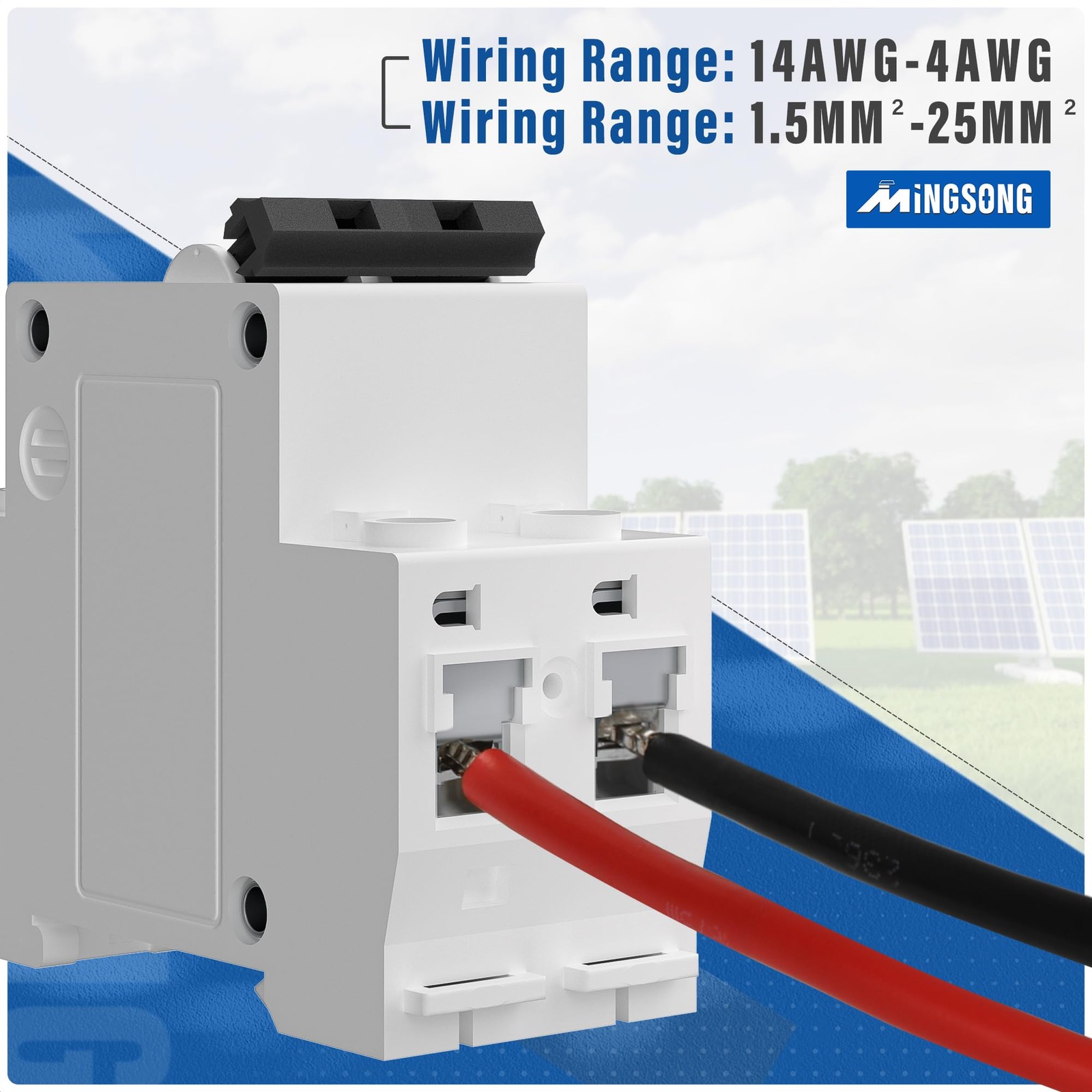 MINGSONG 63A 2 Pole Solar Disconnect Switch
