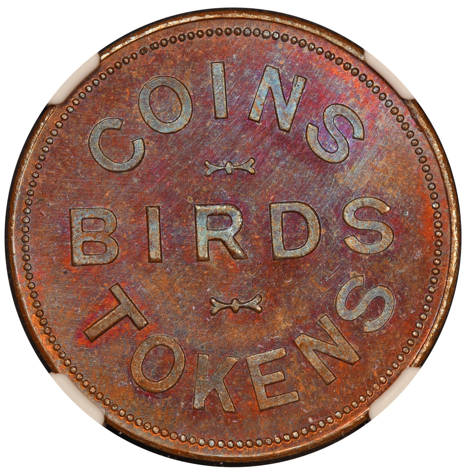 1902 Canada Brantford, Ontario S.M. Thomson Coins Birds Token - NGC MS 64 BN
