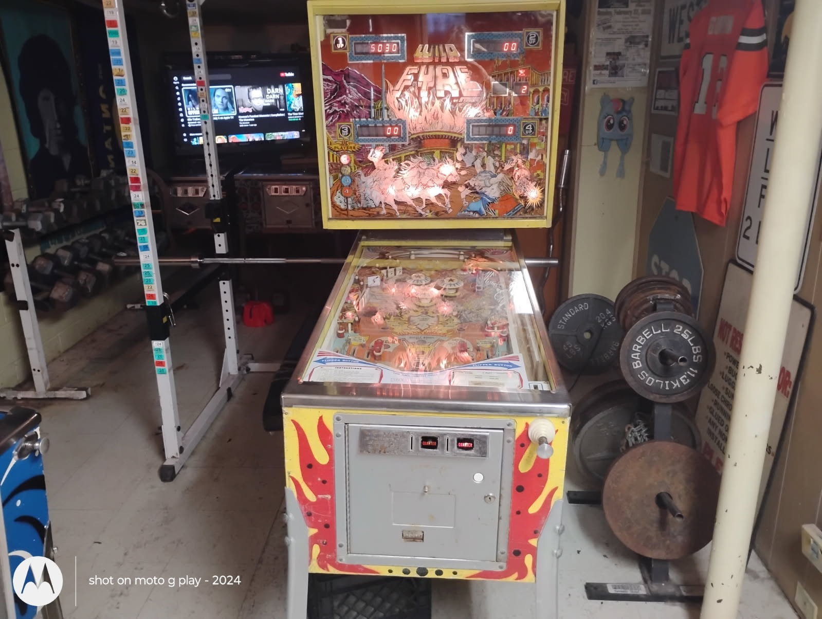 WILD FYRE Pinball Machine By Stern Fun To Play!